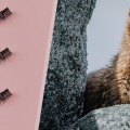 Are mink eyelashes cruelty-free?